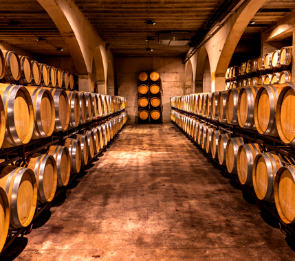 fbe9bd77-435a-f8d9-6d59-7a94a20c0ee6?t=1669019521793