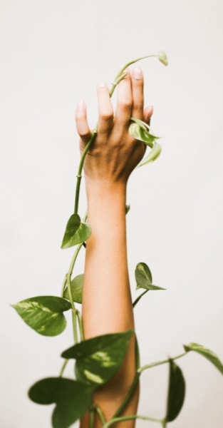 90db11ff-83d6-7600-2bf1-7f223f884191?t=1638174045798